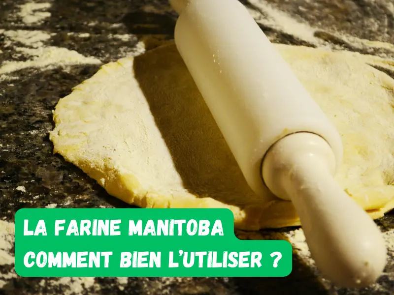 Pétrissage de pâte à pizza avec texte dessus "farine manitoba : comment bien l'utiliser ?"